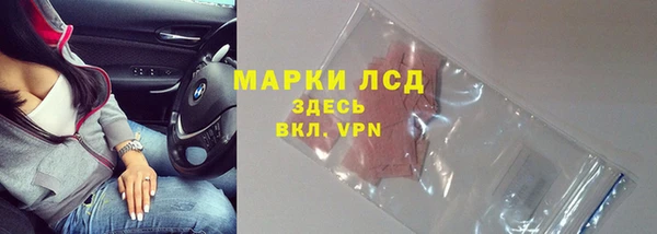 индика Горно-Алтайск