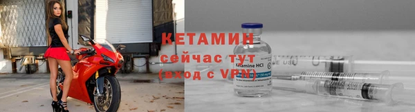 индика Горно-Алтайск