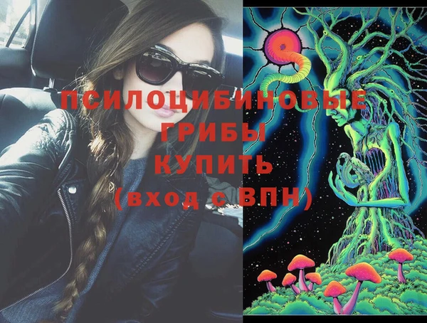 индика Горно-Алтайск