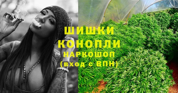 индика Горно-Алтайск