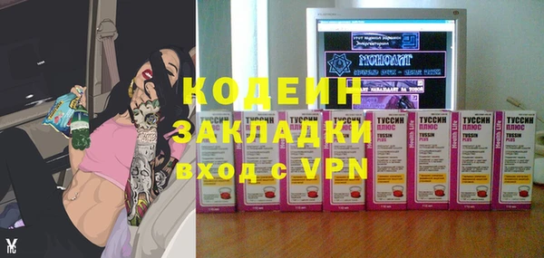 индика Горно-Алтайск