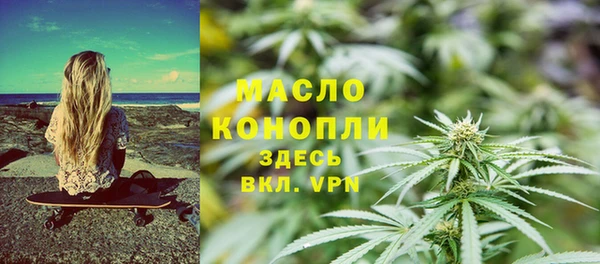 индика Горно-Алтайск