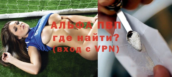 индика Горно-Алтайск